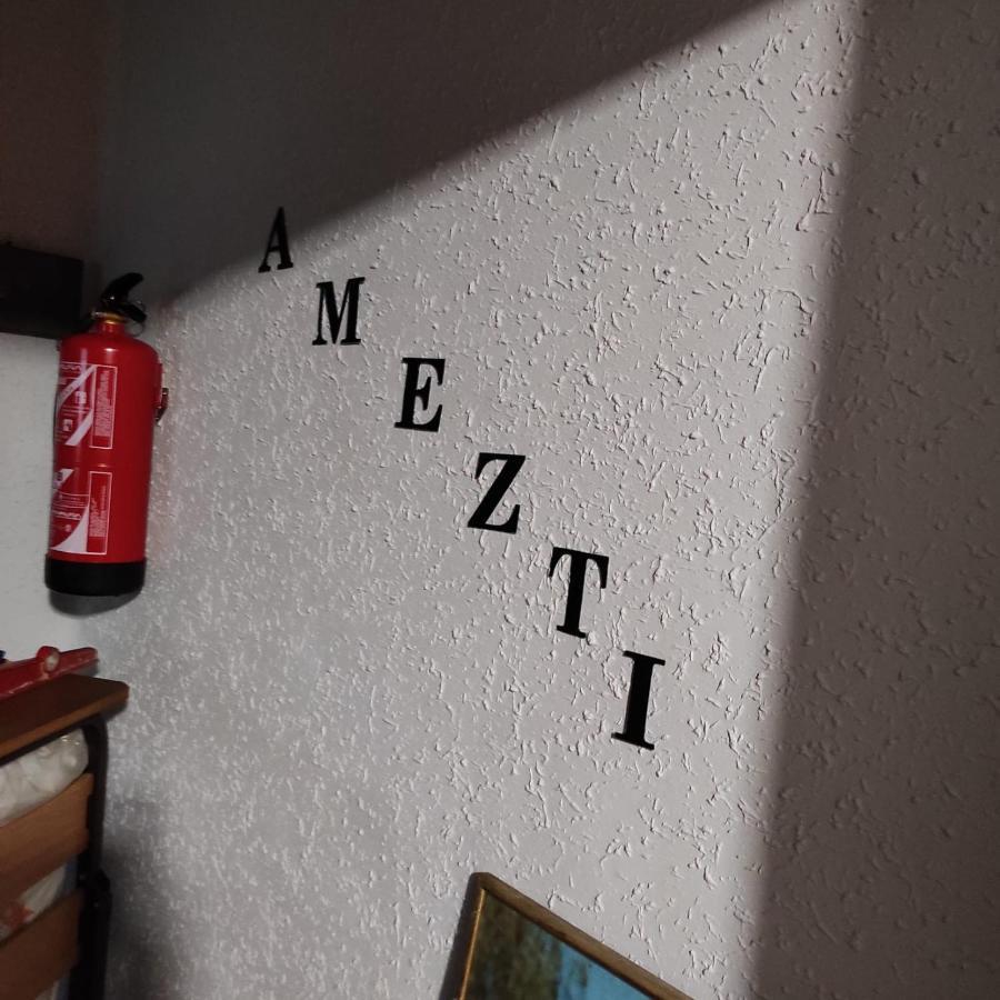 אליסונדו Apartamento Amezti מראה חיצוני תמונה